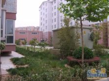 亚太多层电梯洋房满五年无贷款过户快带28平地下室