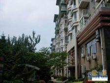 21东北路,格局方正,南北通厅,南北带阳台