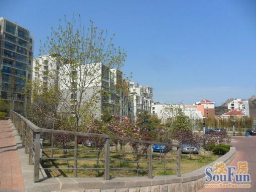 ÒÃÖиßɽ1ÊÒ1Ìü1ÎÀ¶«±±³¯Ïò1800.00Ôª/Ô³ö×â