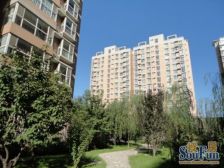 枫桦豪景 园区中间 高层视野好 安静不临街 得房率高 西单