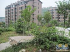 花园洋房 带小院 采光无遮挡 近学堂 位置安静不沿街