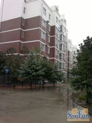 天泽城旁,双气小区,简装三居室,好楼层