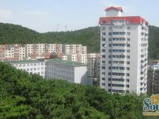 一室一厅南向过渡,装修保持好。