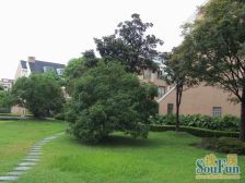 中高区景观平层拎包入住大四房南北双阳台提前约诚售