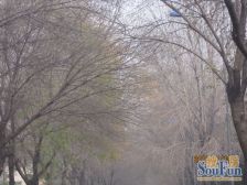 香江花园6室2厅南北