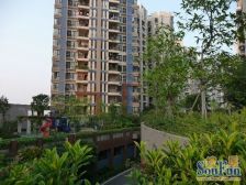 电梯高层 户型方正 视野开阔 南北对流 产权清晰