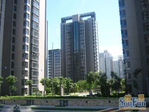 上新金泰丽湾 119.95平3居 南北向精装修1200诚意卖