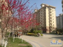 华通一期.成熟小区.配套齐全.近海边.市场.