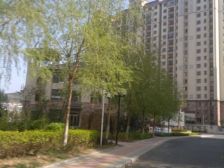 华通二期,南向全名小户型,位置好,近市场