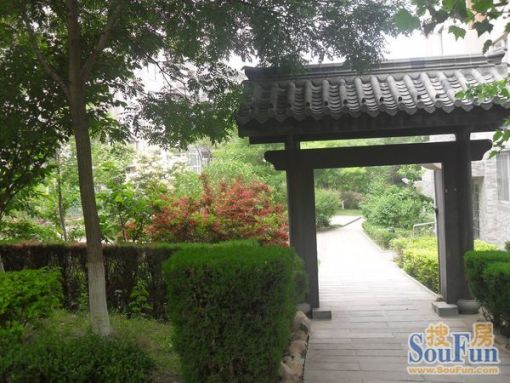 大有恬园1室1厅1卫南朝向1800.00元/月出租