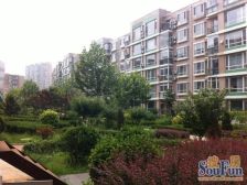 小区落地窗,南北卧室,五明户型,前后无遮挡