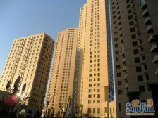 阳光馨苑 全明户型 高楼层视野好 看万达安盛 不欠贷款