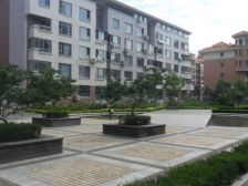 东城国际 电梯小高层 带阳台 带40平阁楼 随时看房