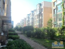 鼎新鼎润府新上电梯通厅,全明 毛坯装修方便