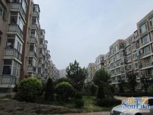 封闭小区电梯房,南向一室一厅,有阳台,户型方正