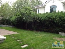 优山D区西合院 千万新装修 诚意出售 新小区环境优美