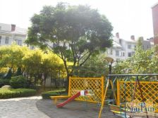 正规组团 南北通厅跃层 精装修 采光好