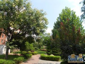 万科城市花园2室1厅南北