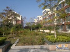 香海小镇品牌物业,跃层实用面积大,有楼板诚心出售