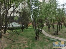 两层边户,下跃大院,南北通透,采光好,业主吉售