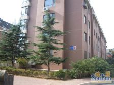 一楼院儿 南北向采光好位置好 看房方便 芙蓉八十