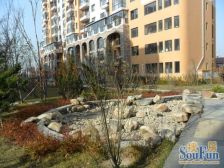 二期电梯房 中间楼层 采光好 精装修 拎包住