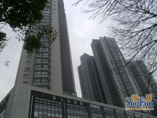 城建TOPTOWN鼎都1室1厅1卫南朝向2200.00元/月