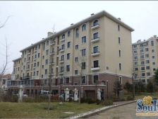 美树日记别墅 精装 5室三卫 套内面积200多平