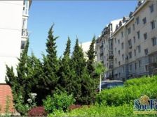 两室南北 通厅户型 方正视野 开阔采光充足近市场地铁