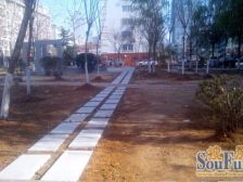 丹阳小区 1室1厅 北