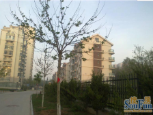 百万豪,华,装修,业主国外定居忍痛割爱