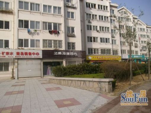 洪山坡小区3室1厅1卫南朝向2800.00元/月出租