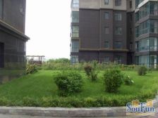 紫光绅苑一期采光好户型方正交通便利