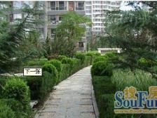 高楼层,俯瞰大海体育公园,全实木装修