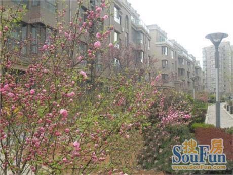 明秀嘉园2室2厅1卫东南朝向3000.00元/月出租