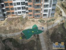 北龙湖旁、双地铁,花园式小区,电梯小高层