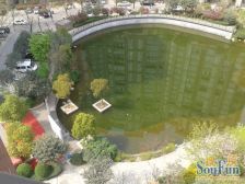 市内大宅,地下室、露台、庭院、水系,实用面积500平