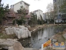 顶层复式,一线海景,精装修,挑高客厅