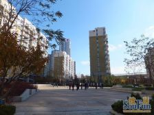 跃层户型,动静分离,上下两层互不影响