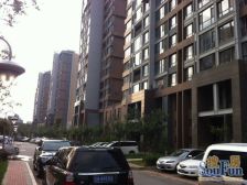 大园位置好 中间楼层 户型方正 总款低 有钥匙随时可看