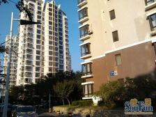 中间位置 南北格局好 精装修 视野采光好 买一层带一层