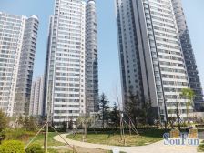 新希望家园 2室1厅 西 东