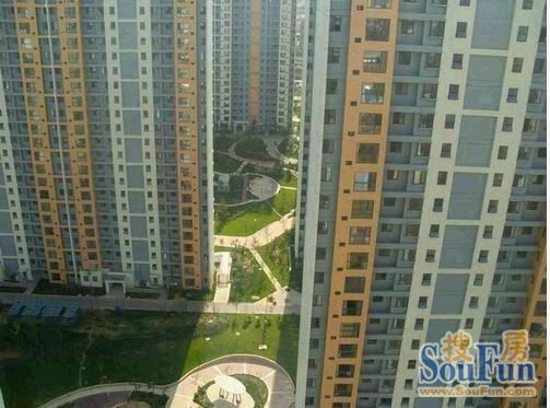 鲁能领秀城up街区2室2厅1卫南朝向2500.00元/月出租