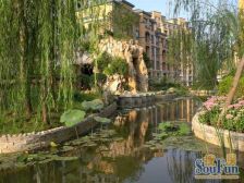 南向小户型近华南小区环境好标准一室一厅