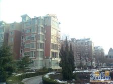 富豪青年国际广场 2室1厅 东南