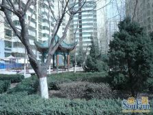 曦华源 四室两厅两卫 南北通透 产权到位 220平出售