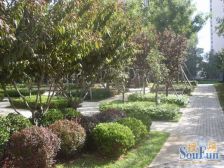 和平广场2012年封闭小区,全新装修拎包住