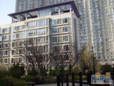 新希望花园 和平广场 电梯大跃层 每层独立分开 采光好