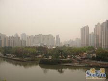 沿河一排,正看苏州河梦清园,前后双阳台,阳光好