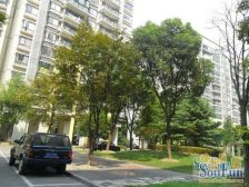 近地铁,产权清晰 采光好,通风好,必看好房